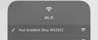 Hue Gradient Strip WS2812 WiFi network_1_201_a