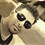 Shahad_Khan