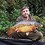 Tony_Mealing